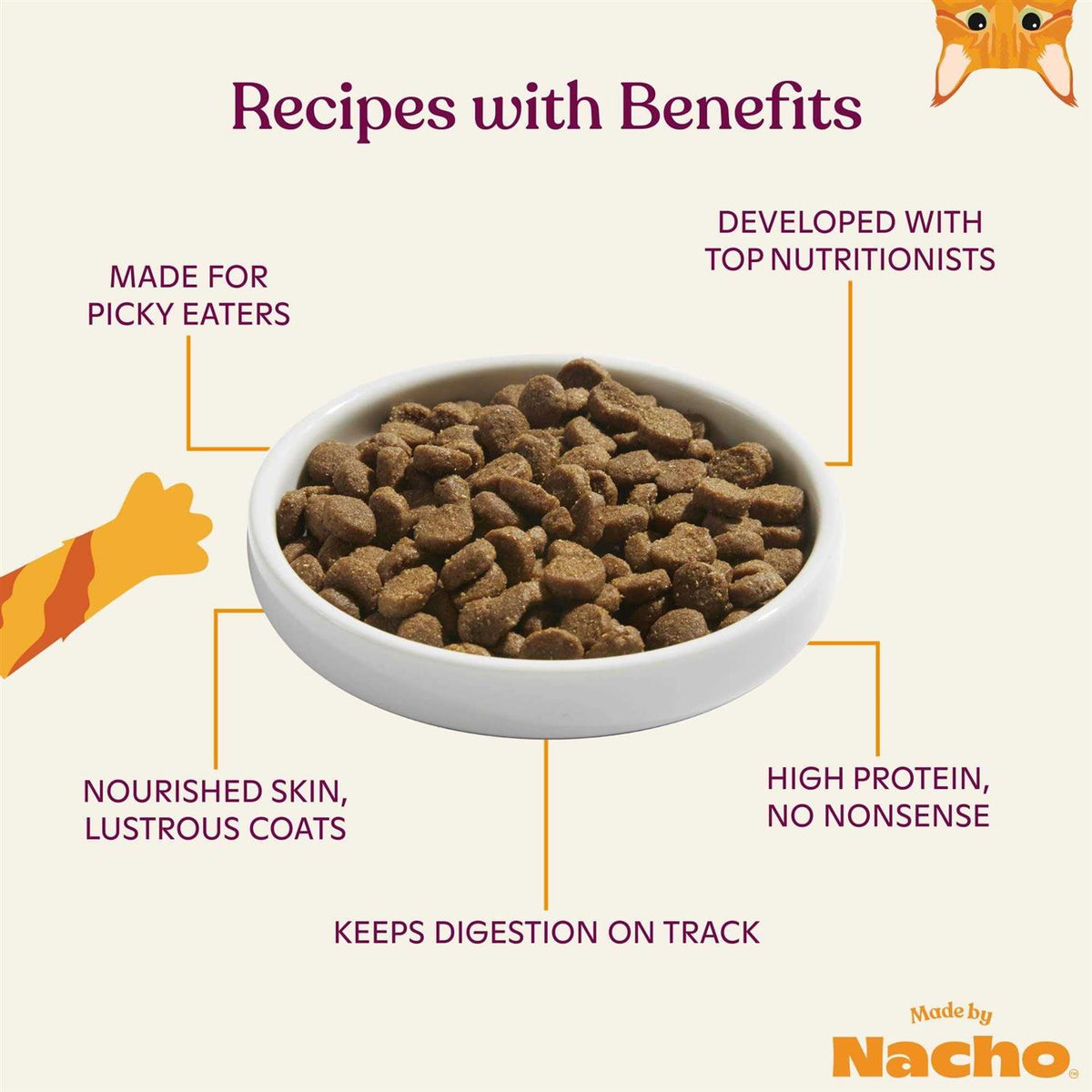 Salmon & Pumpkin Recipe Dry Cat Food N65956