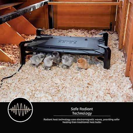 Chicken Coop Brooder and Heater C68581