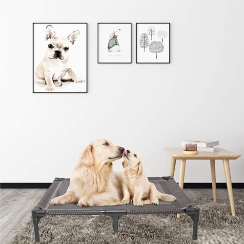 Elevated Dog Bed with Metal Frame, X-Large Grey O8317