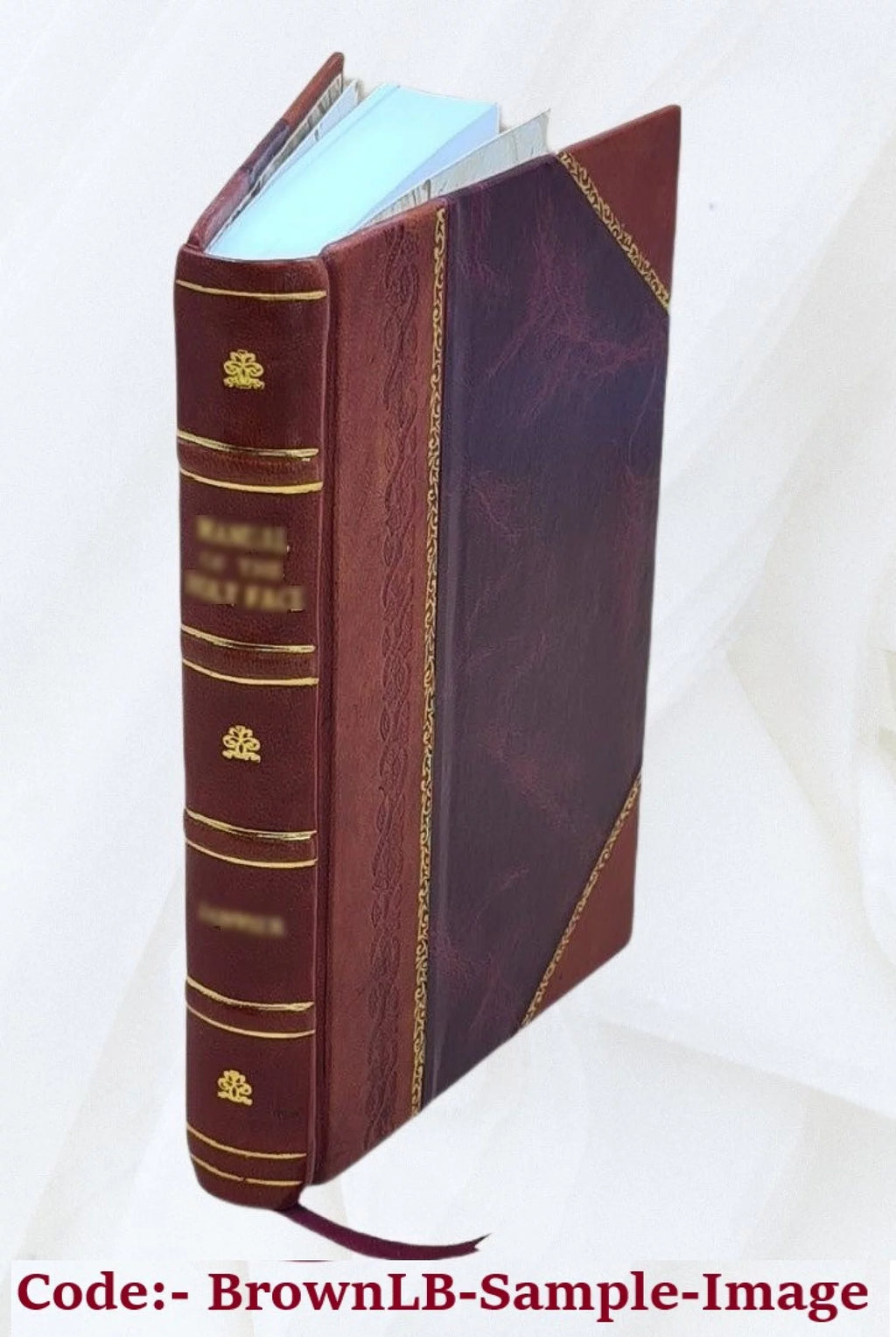 Leather Bound Book W8522