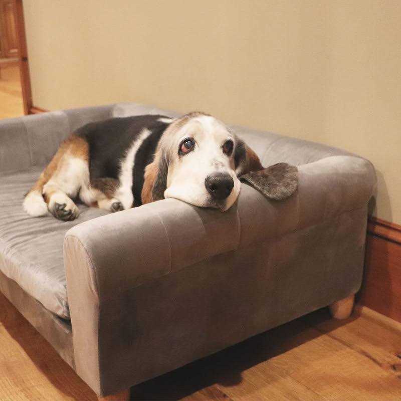 42-in. Faux-Velvet Rectangle Pet Bed X284