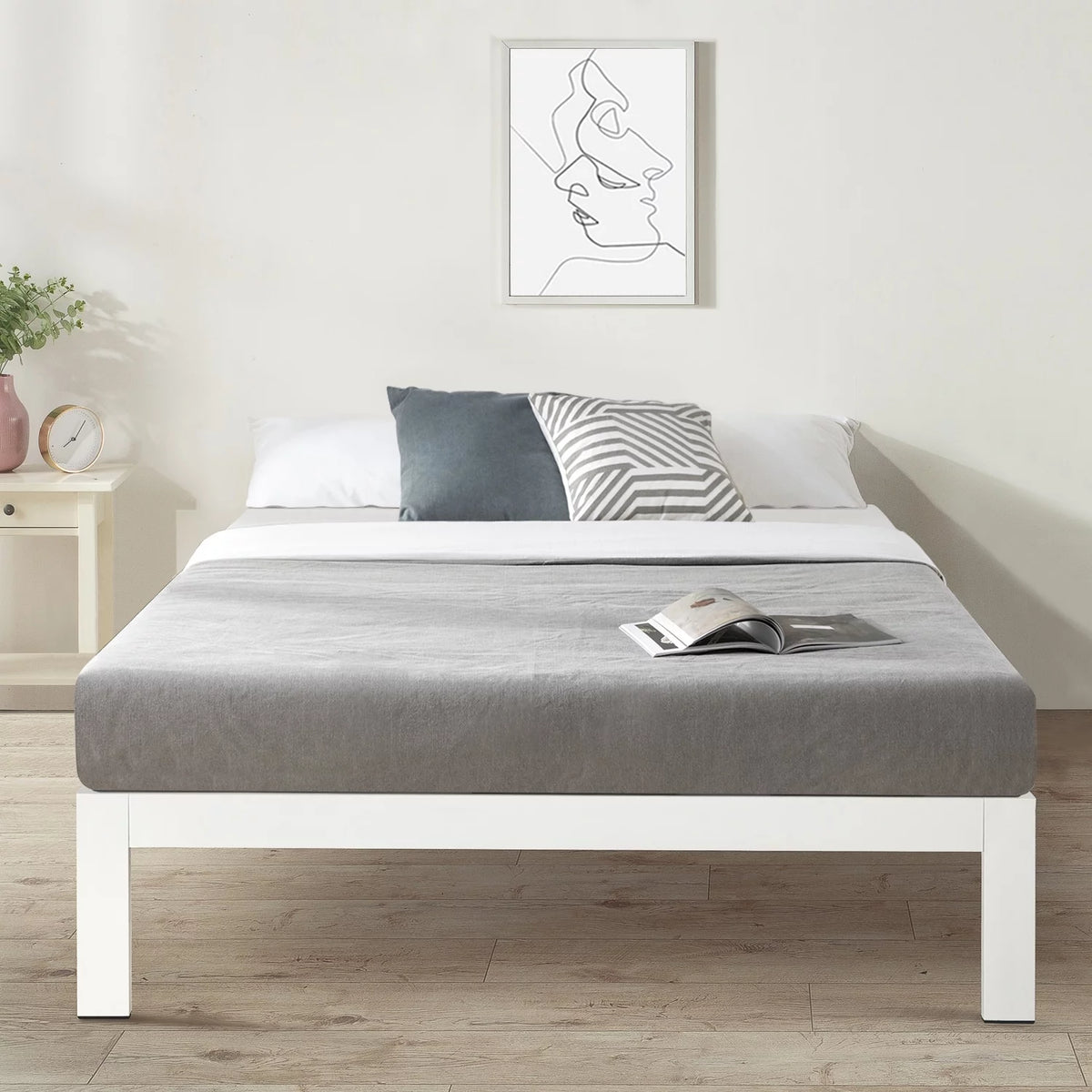 Queen Size White Steel Platform Bed C964281