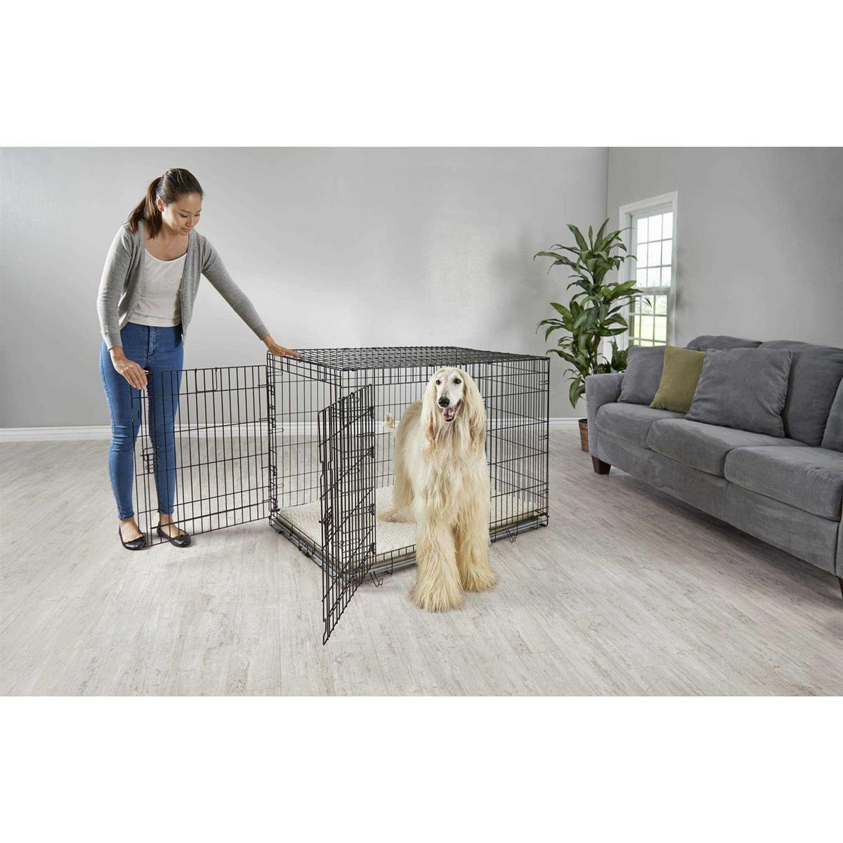 2-Door Folding Dog Crate H405771