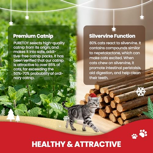5 PCS Catnip Cat Chew Toys with Silvervine Sticks H638