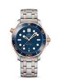 Blue 42mm Diver Watch D19632
