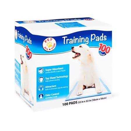 Training Pads 100 Count N2320