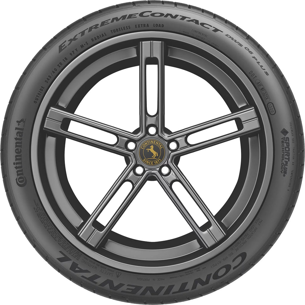 245/45ZR20 All Season Passenger Tire C415982