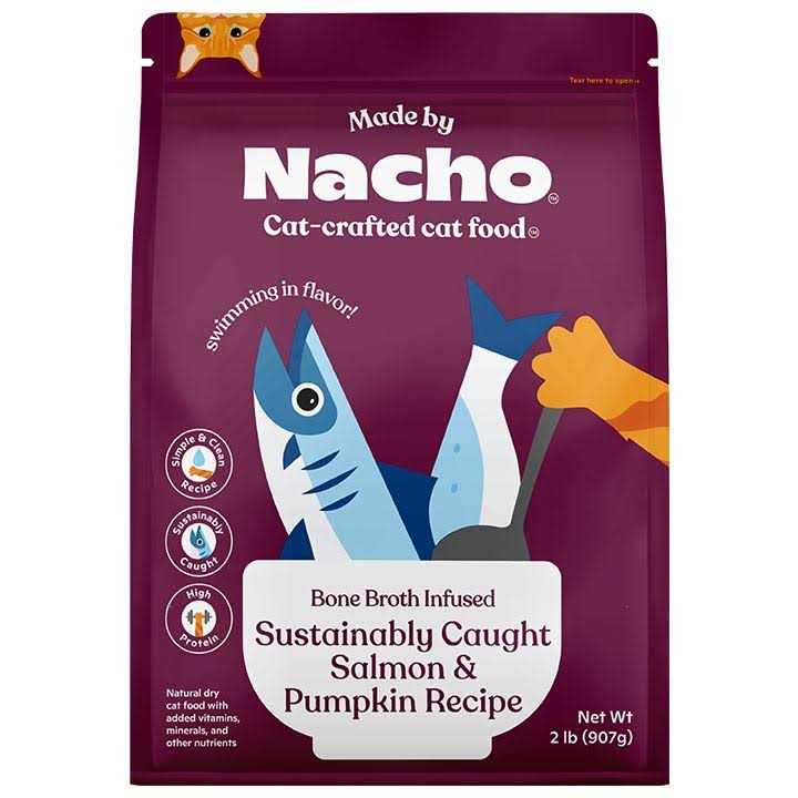 Salmon & Pumpkin Recipe Dry Cat Food N65956