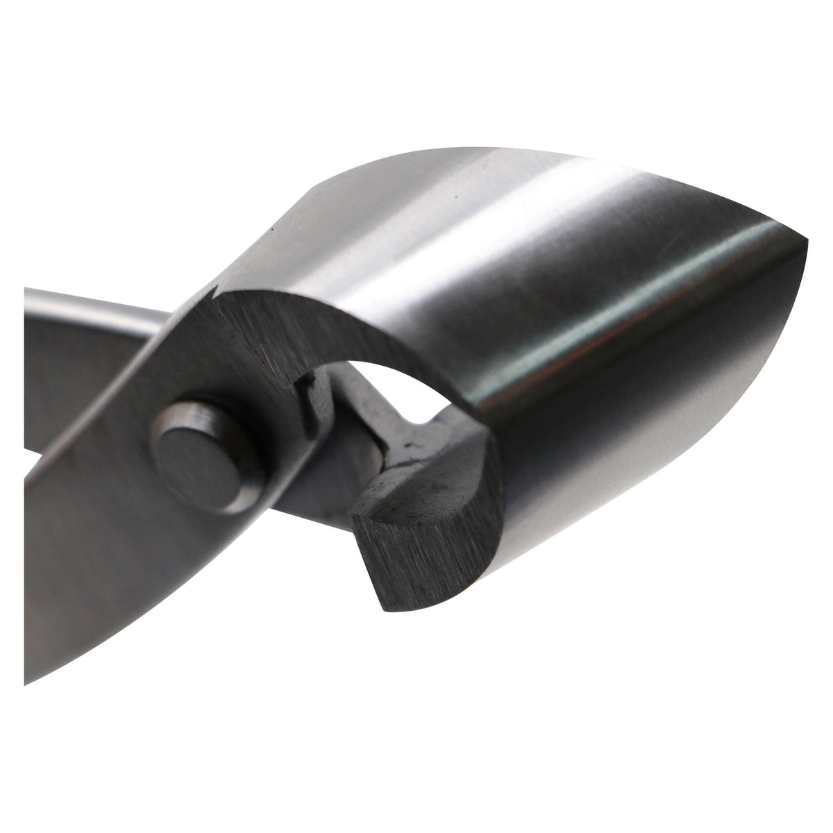 11x22 Stainless Steel Bonsai Concave Branch Cutter V480781