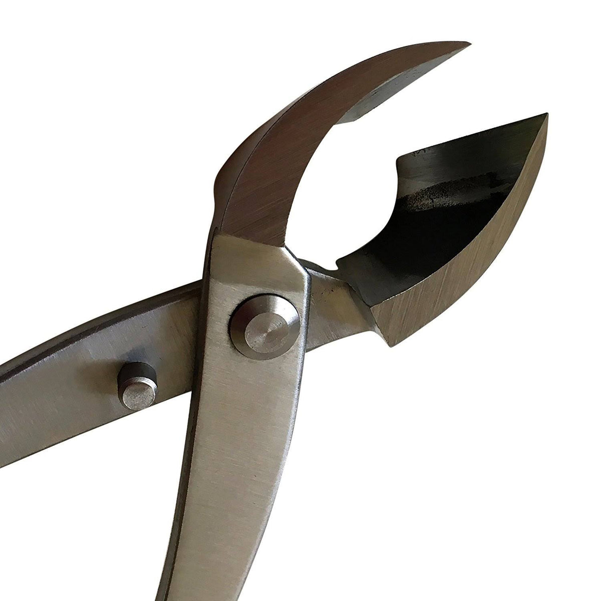 11x22 Stainless Steel Bonsai Concave Branch Cutter V480781
