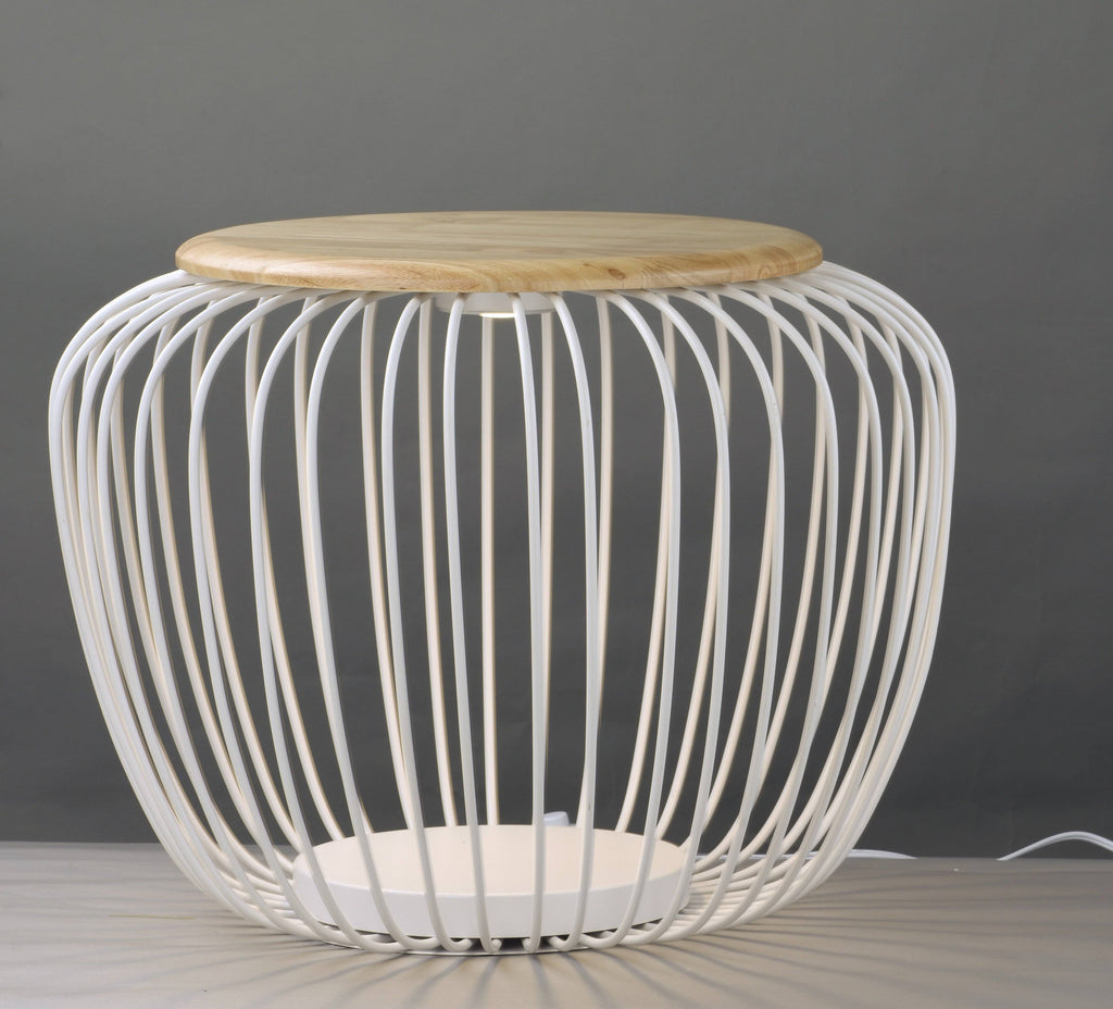 LED Floor Lamp R937