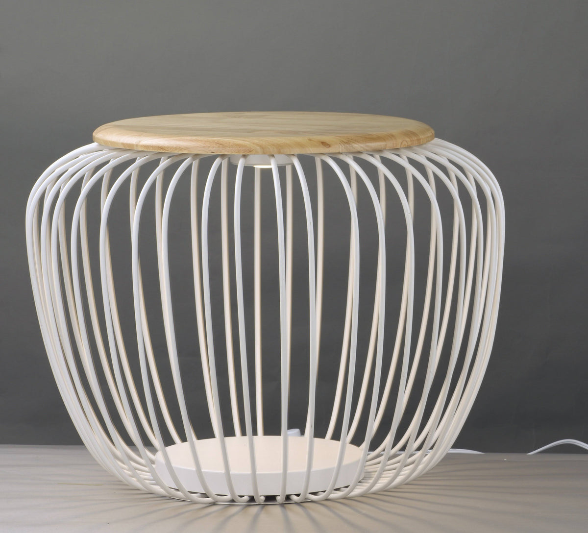 LED Floor Lamp R937