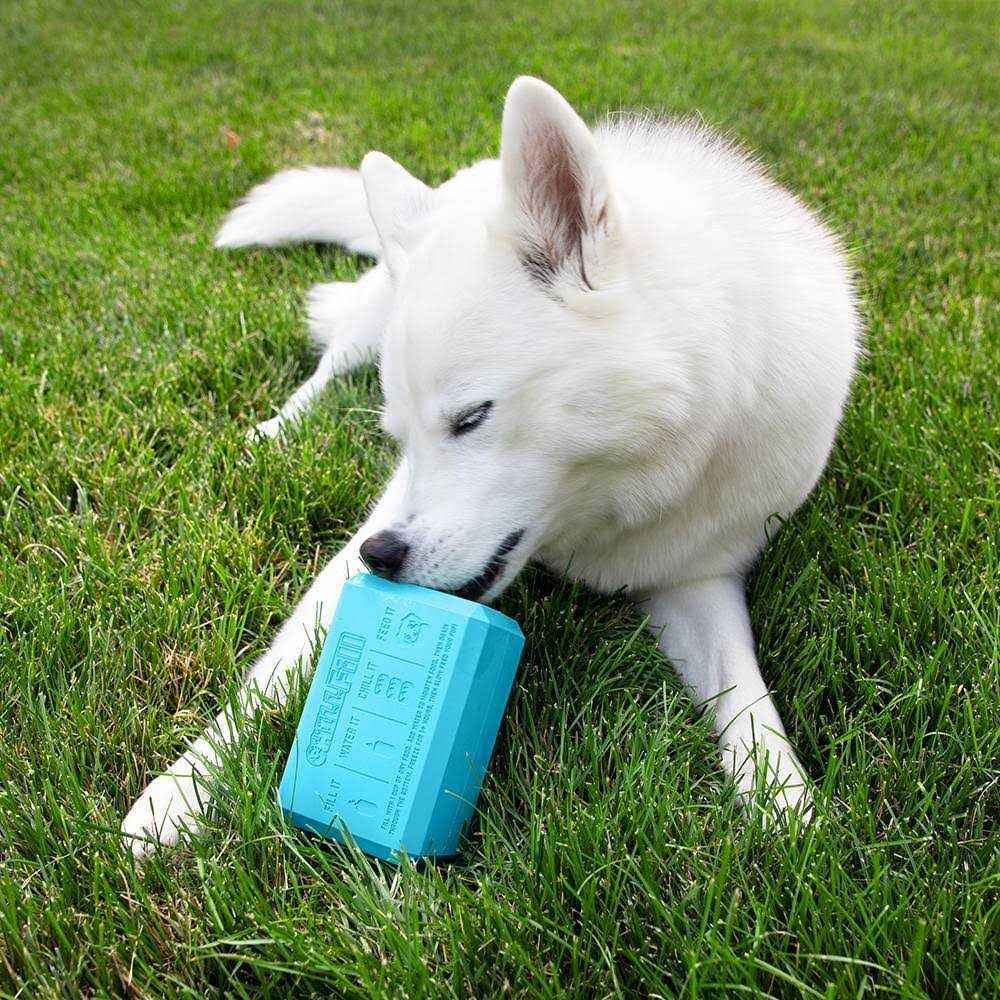 Dog Treat Toy U14173