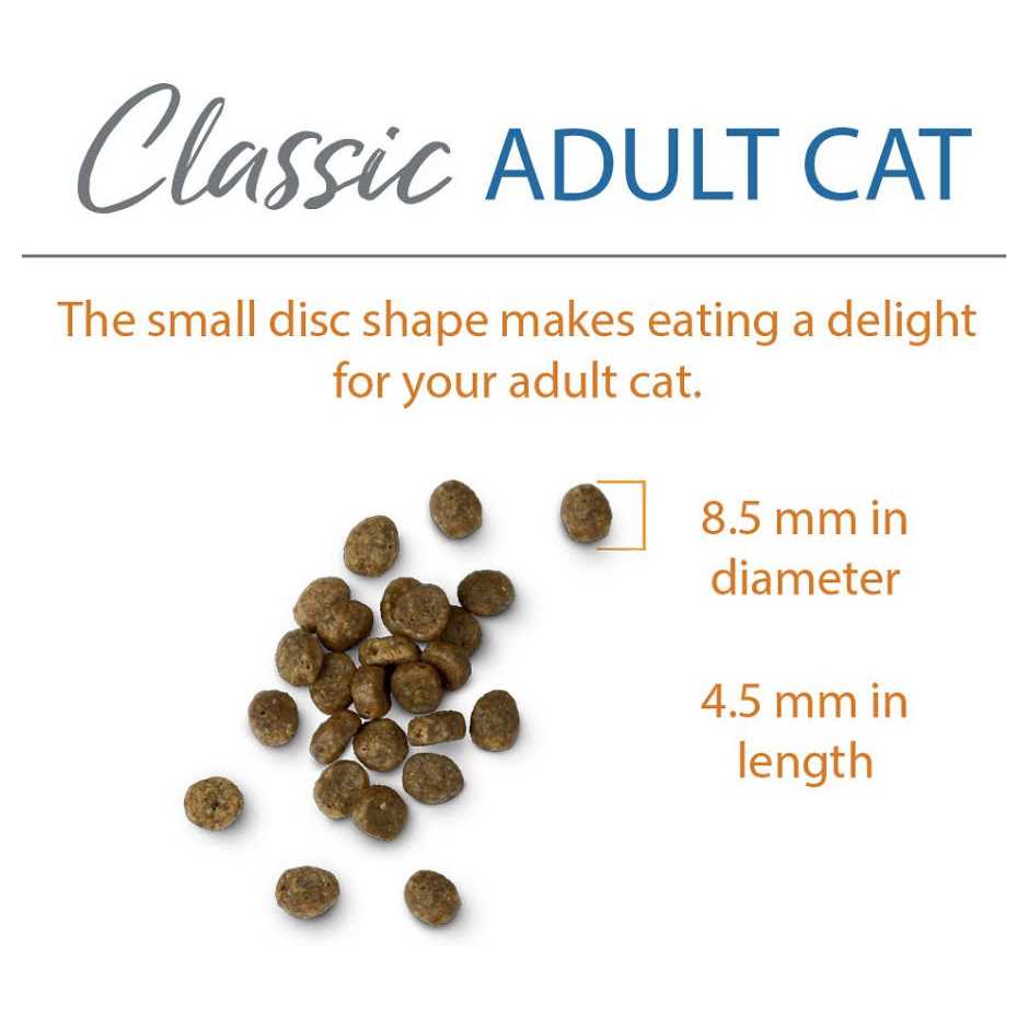 Chicken Brown Rice Recipe Dry Cat Food N220