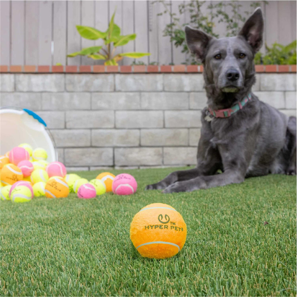 Tennis Balls A523