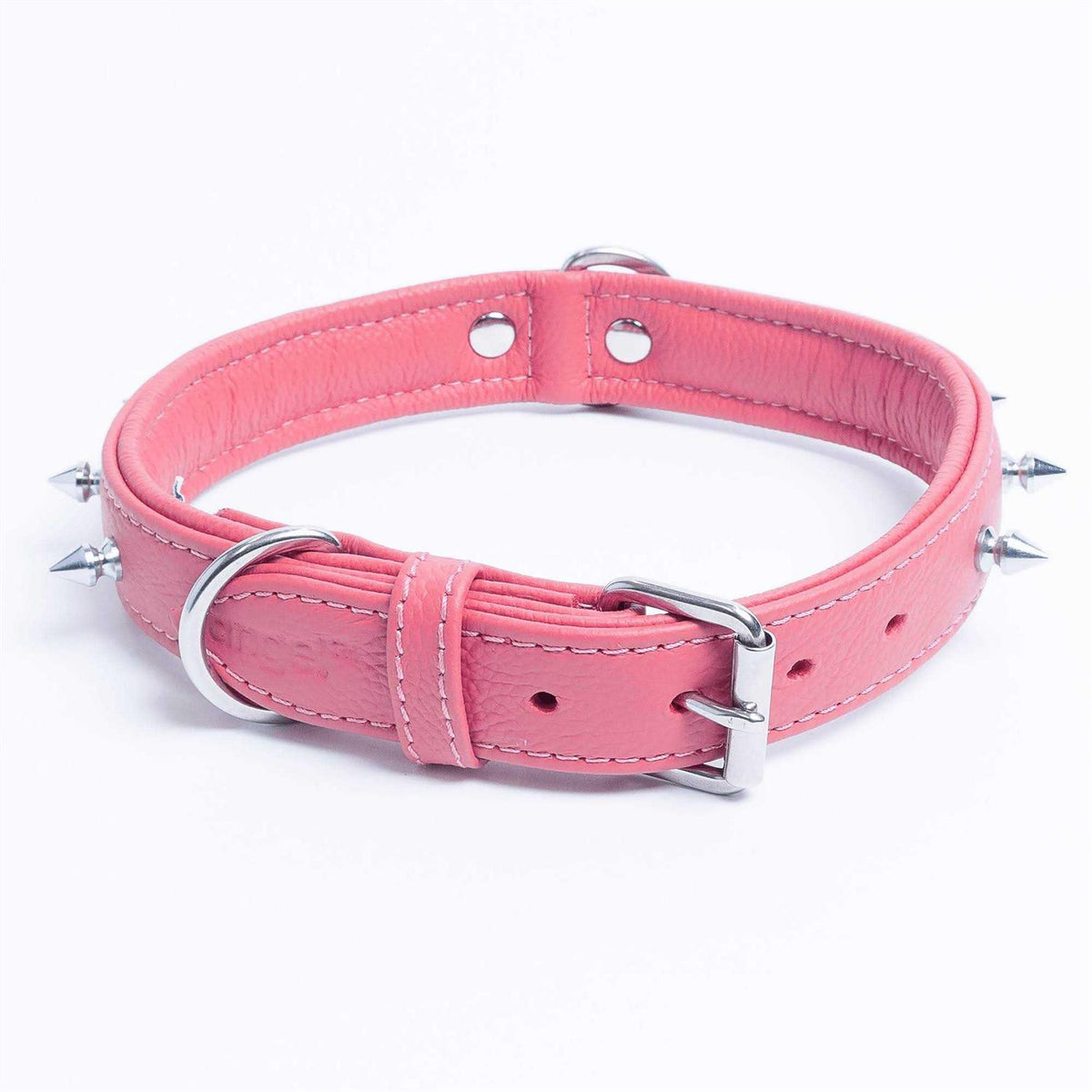 Dog Collar I949