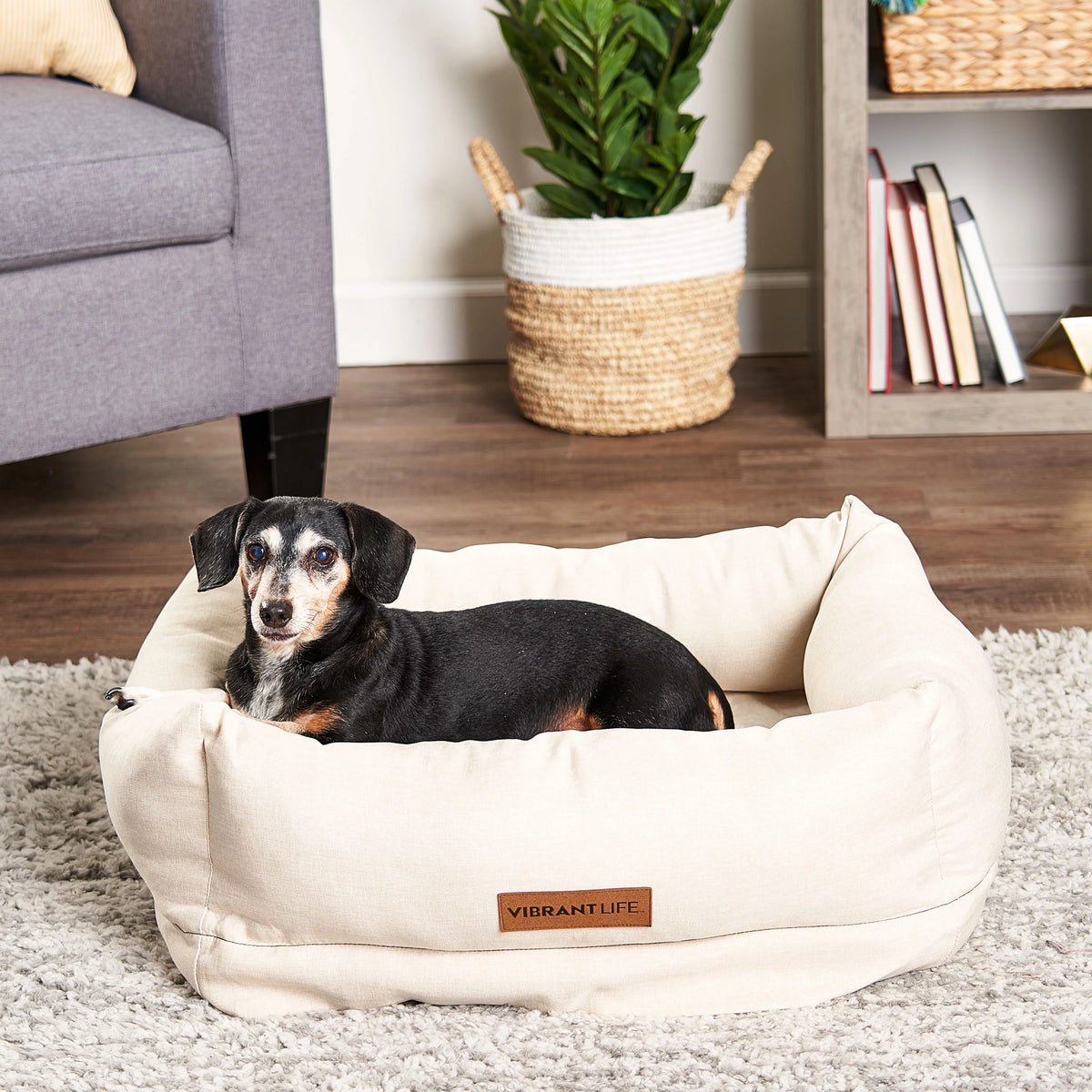 Beige Small Dog Bed Z33301