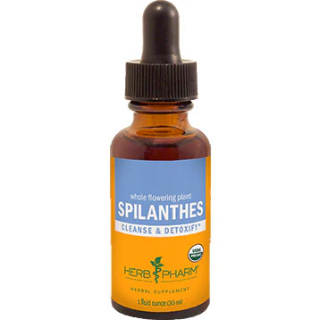 Spilanthes 1 oz U35040
