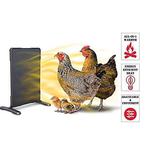 Chicken Coop Brooder and Heater C68581