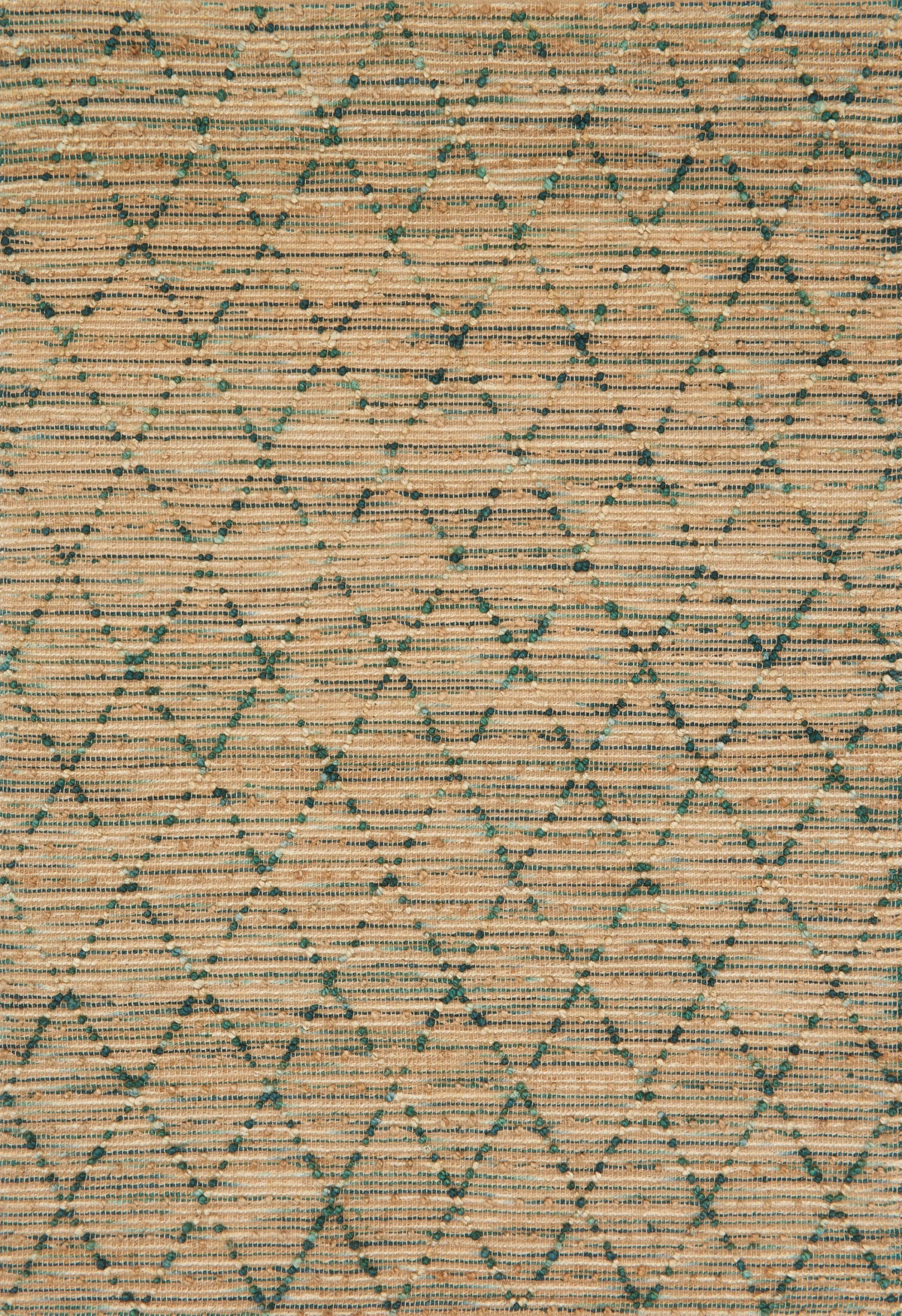Aqua Rug 7'9 x 9'9 O57690