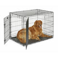 Double Door Dog Crate W80314