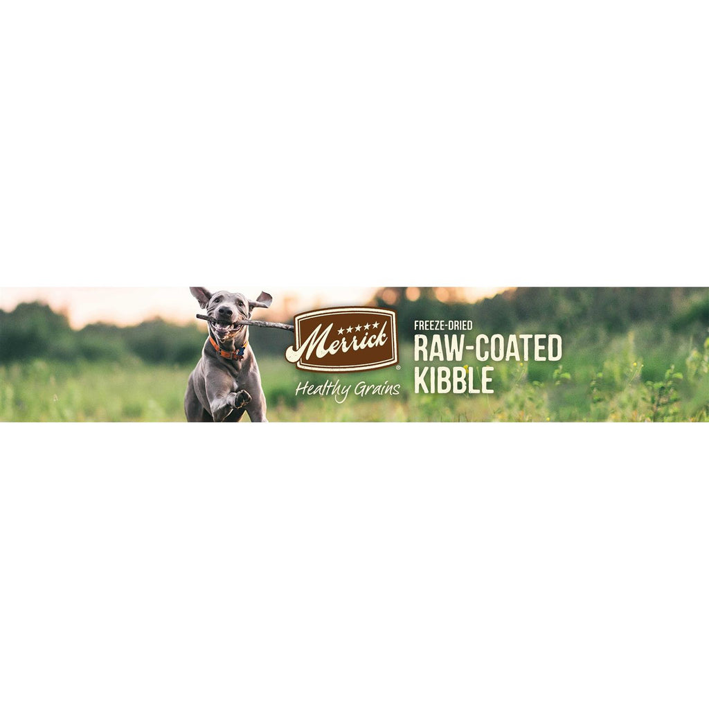 Healthy Grains Freeze Dried Raw Coated Dry Dog Food Puppy Recipe K9554