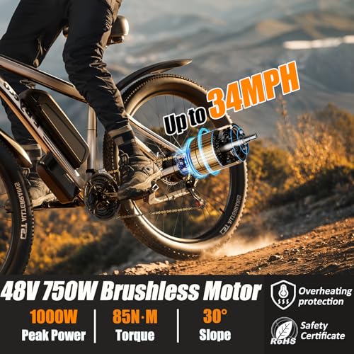 29” Electric Bike with 48V 17.5AH Battery V677871