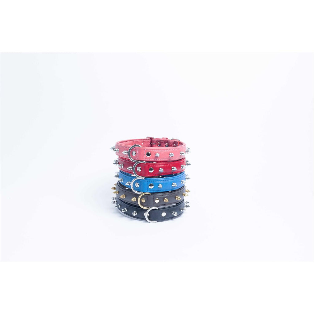 Dog Collar I949