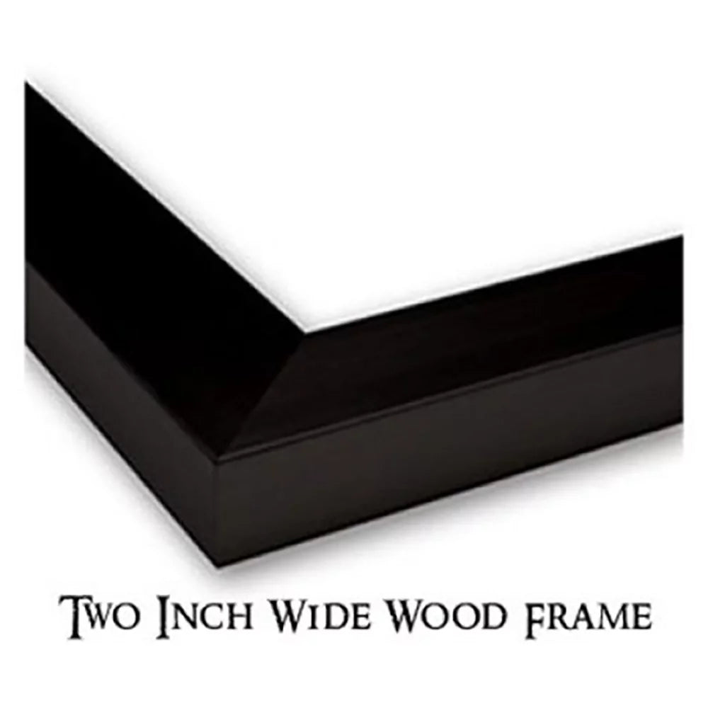 Black 18x13 Framed Art Print U439