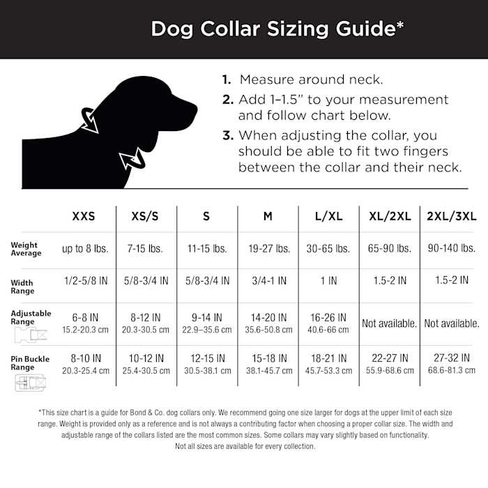 Dog Leash Y9423
