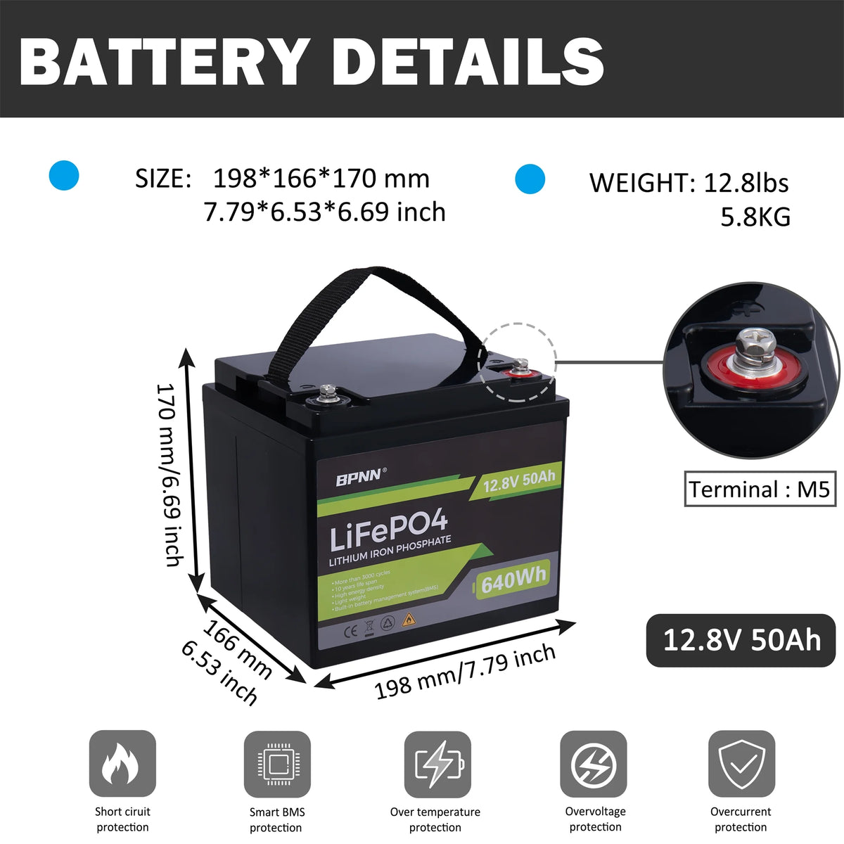 50Ah 12V LiFePo4 Battery A172954