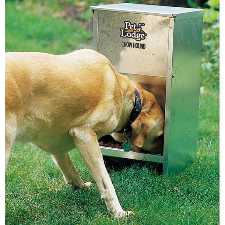 Dog Feeder M962040
