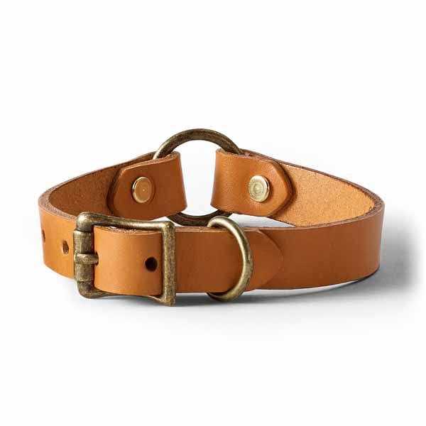 Leather Dog Collar X4237
