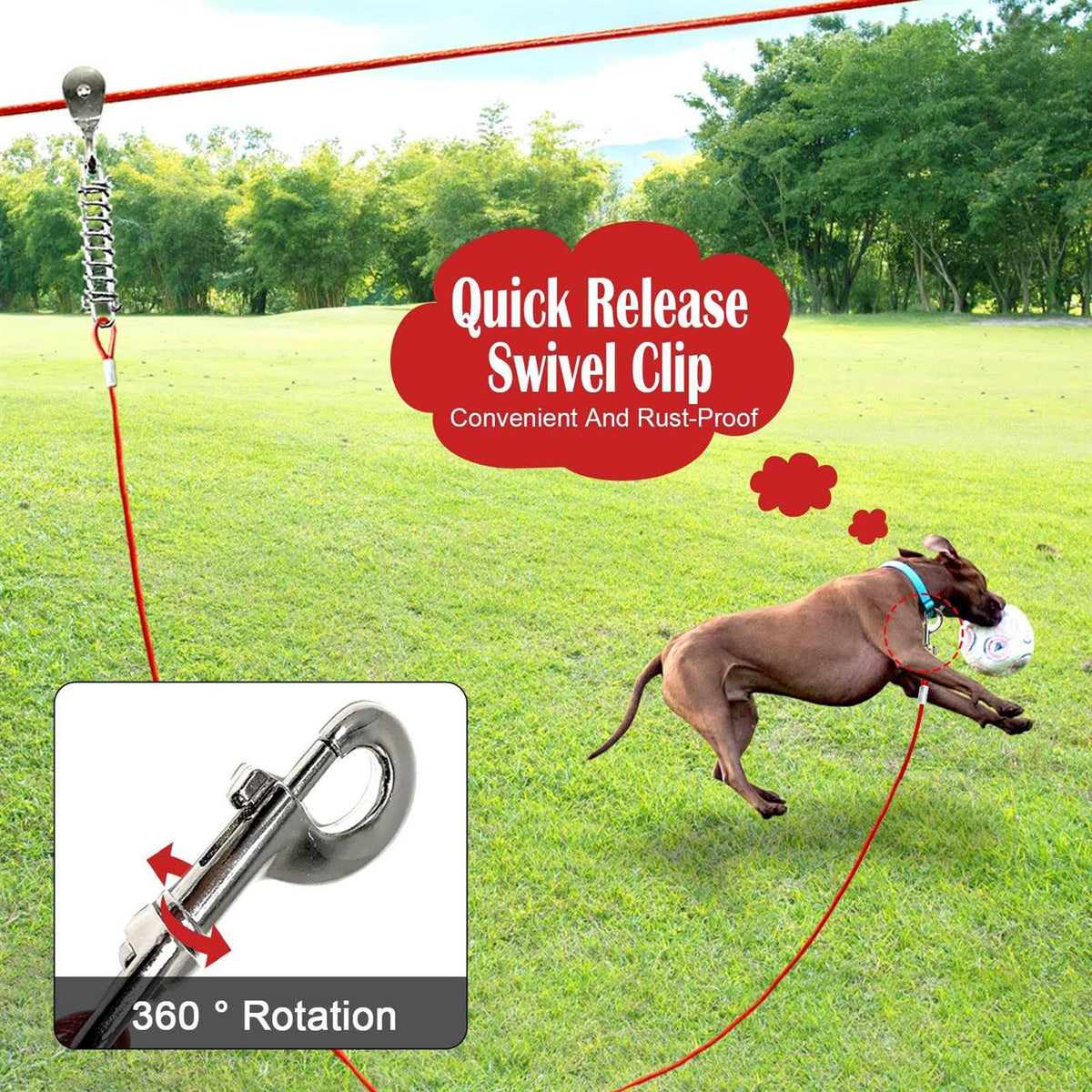 100FT Dog Tie Out Cable N245