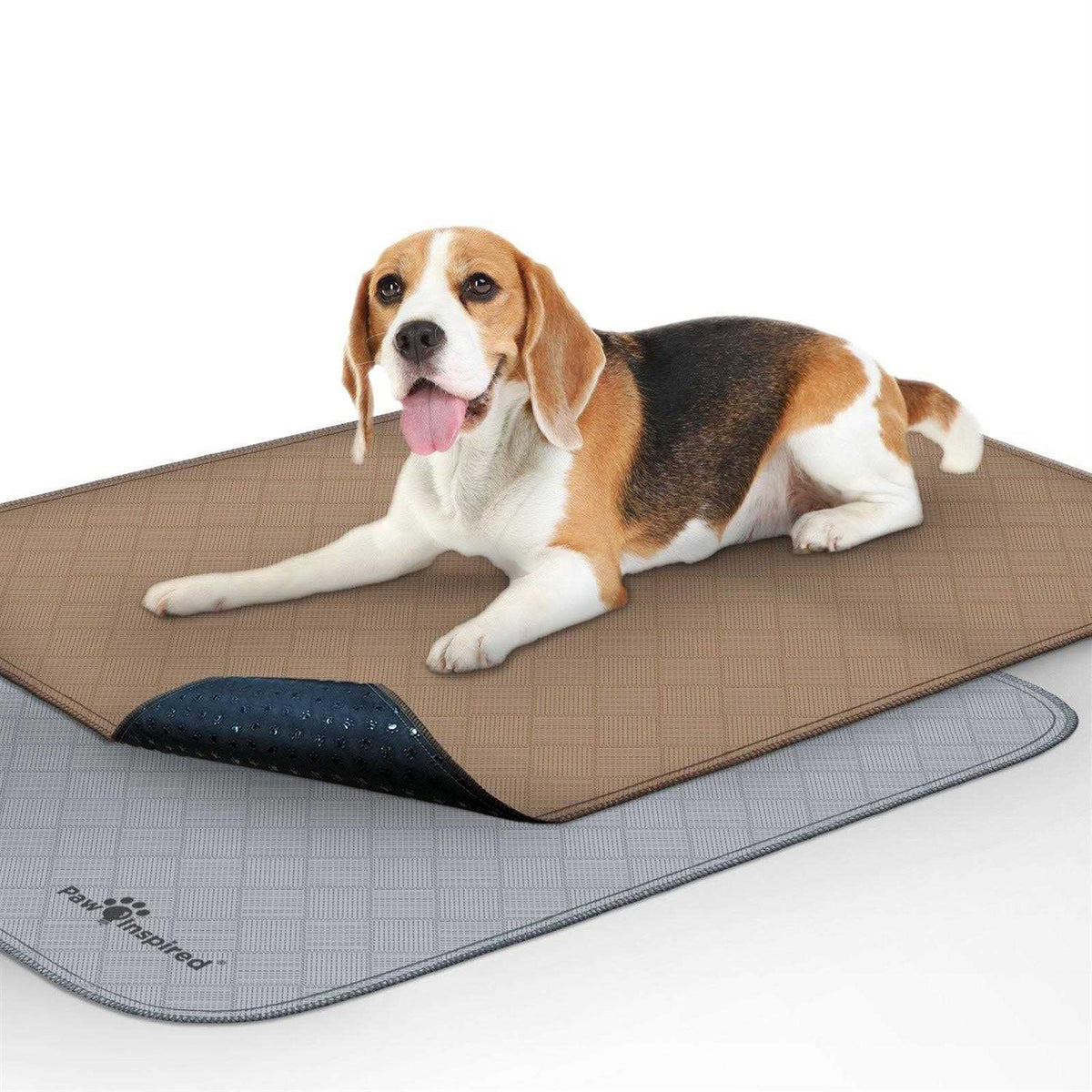 Washable Reusable Pee Pads for Dogs F3474