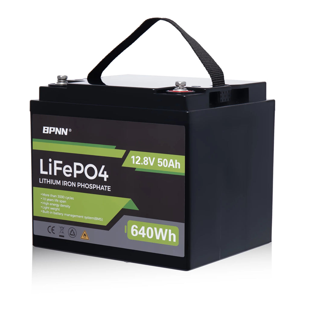 50Ah 12V LiFePo4 Battery A172954
