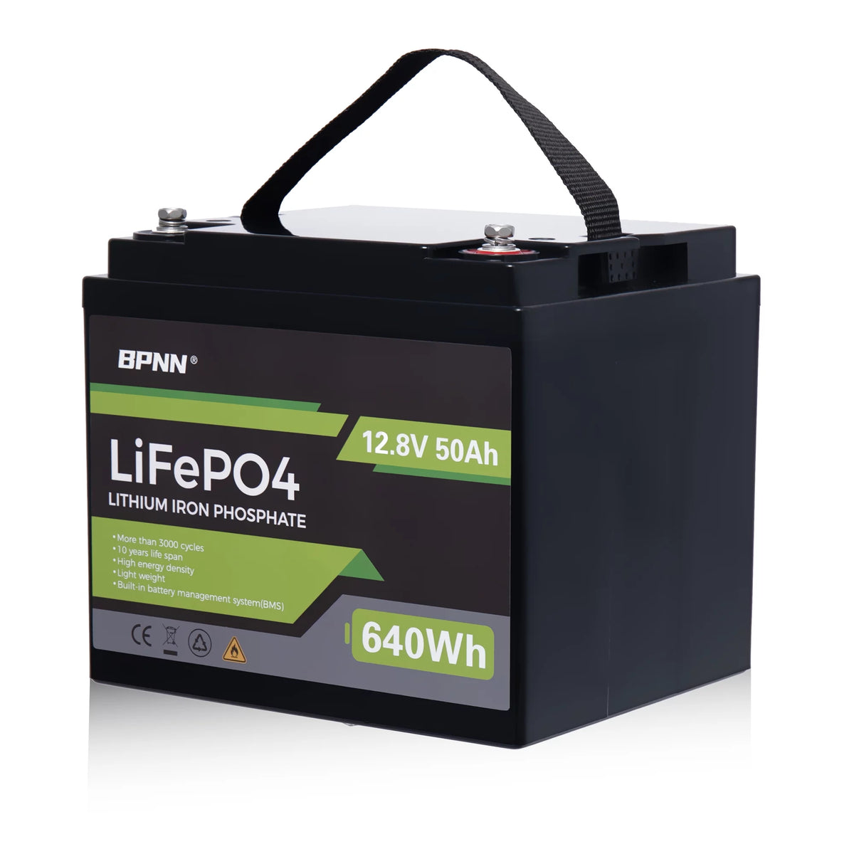 50Ah 12V LiFePo4 Battery A172954