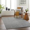 Gray Black 5' X 7'6" Area Rug Z5520