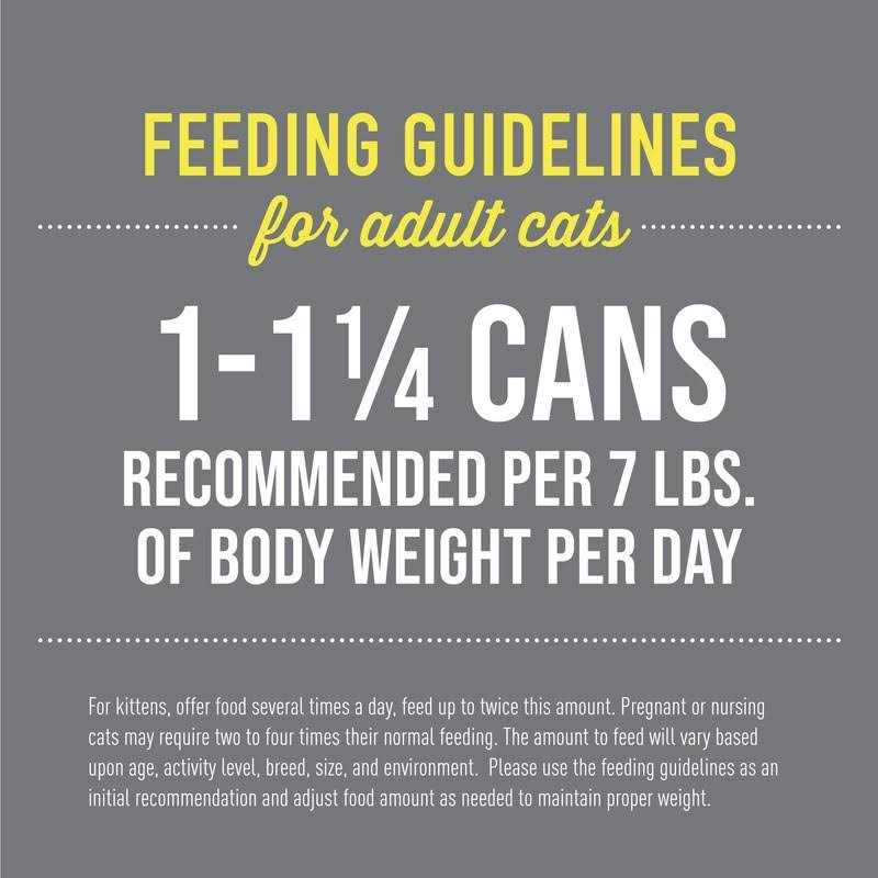 Wet Cat Food Variety Pack B21509