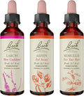 Homeopathic Flower Essences 3-Pack O807730