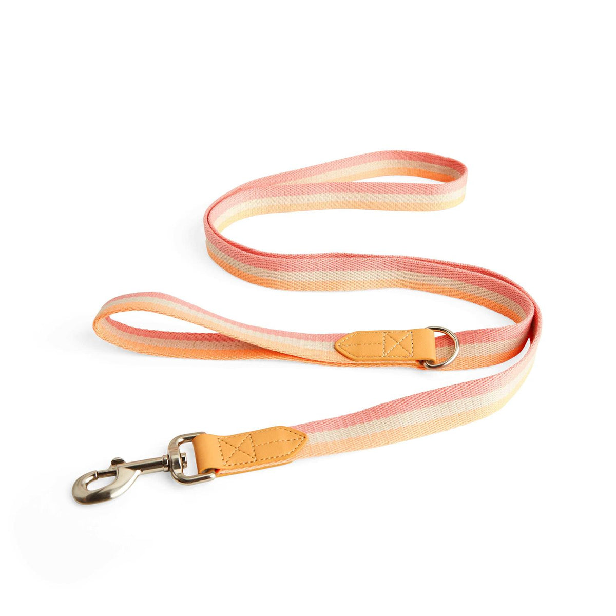 Dog Leash Y9423