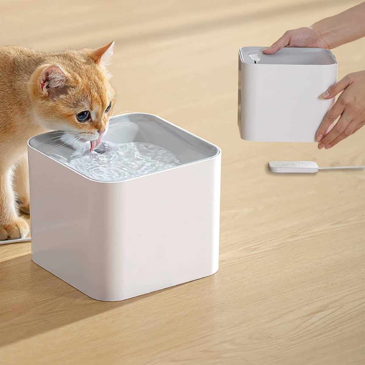 Wireless Cat Water Fountain D998