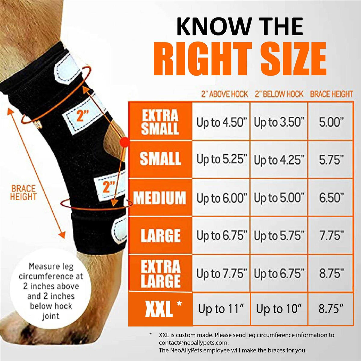 3-in-1 Long Rear Leg Support Dog Splint Braces B11838
