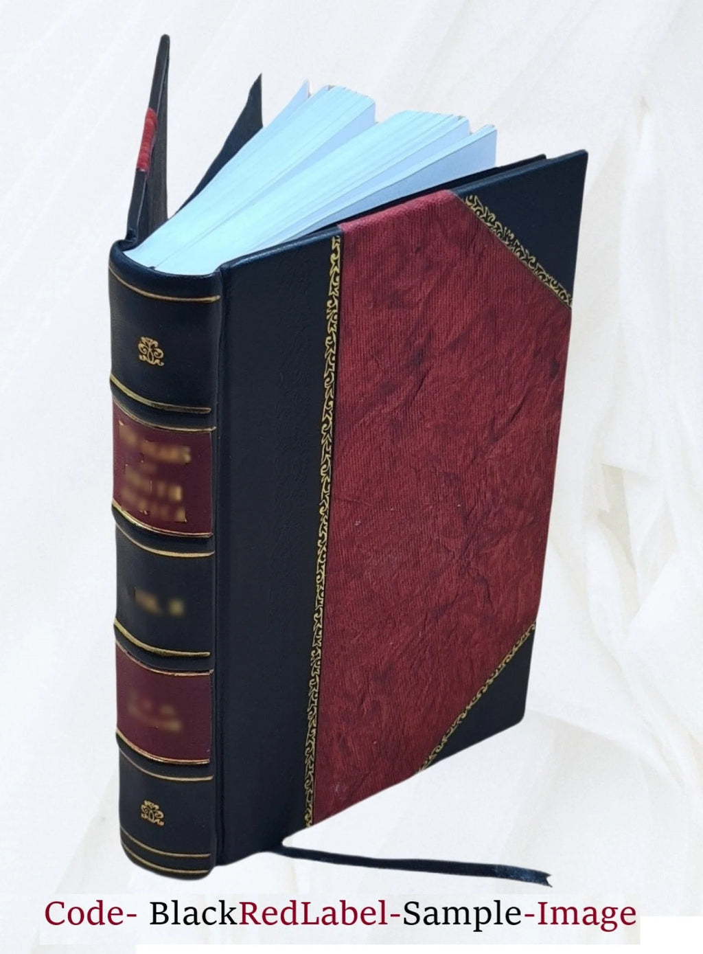 Guide pratique du fabricant de savons T98875