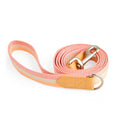 Dog Leash Y9423