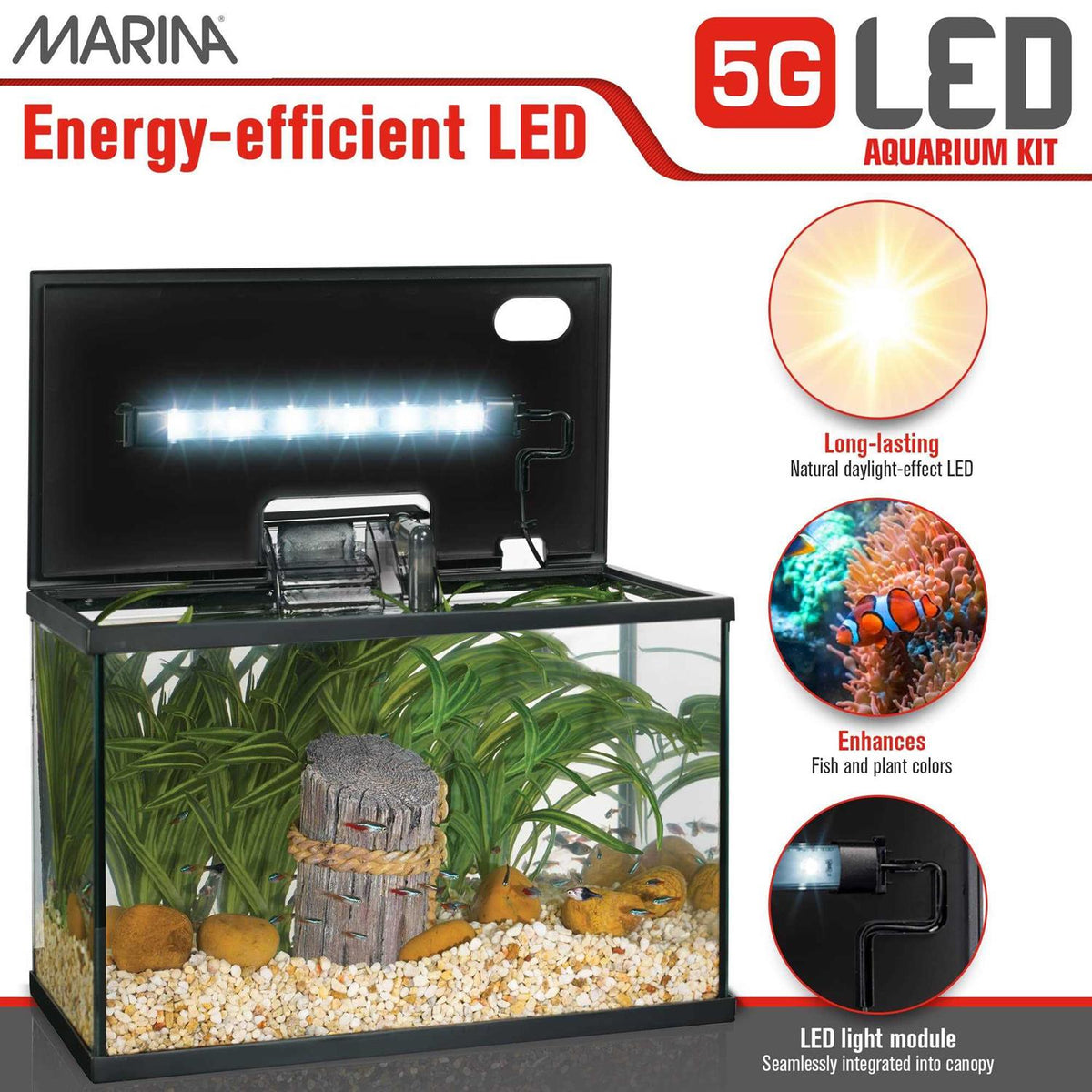 LED Glass Aquarium Kit R411